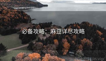 必备攻略：麻豆详尽攻略