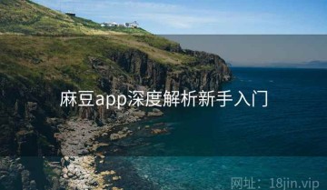 麻豆app深度解析新手入门