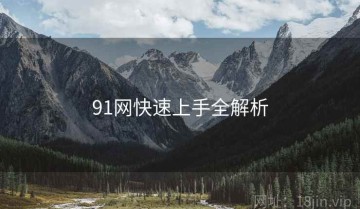 91网快速上手全解析