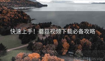 快速上手！蘑菇视频下载必备攻略