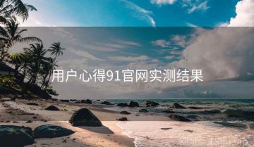 用户心得91官网实测结果