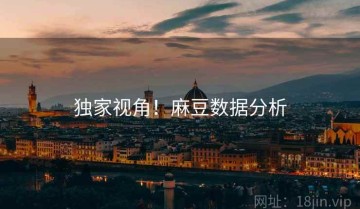 独家视角！麻豆数据分析