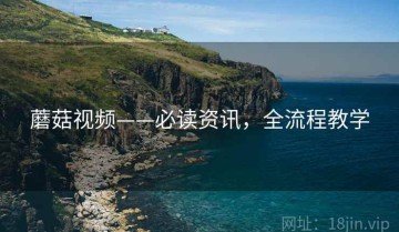 蘑菇视频——必读资讯，全流程教学