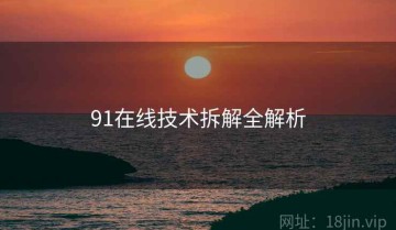 91在线技术拆解全解析