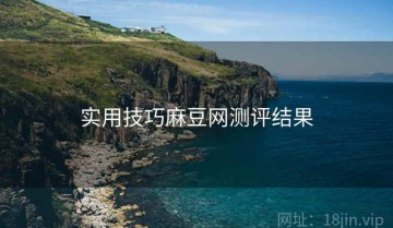 实用技巧麻豆网测评结果