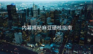 内幕揭秘麻豆硬核指南