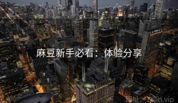 麻豆新手必看：体验分享