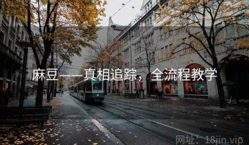 麻豆——真相追踪，全流程教学