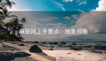 麻豆网上手要点：独家视角