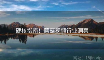 硬核指南！蘑菇视频行业洞察
