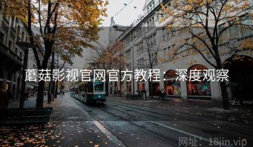 蘑菇影视官网官方教程：深度观察
