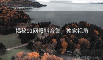 揭秘91网爆料合集，独家视角