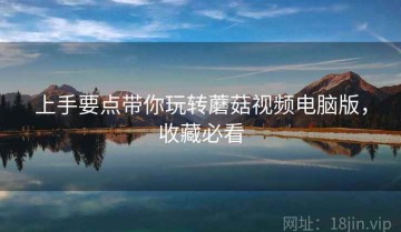 上手要点带你玩转蘑菇视频电脑版，收藏必看