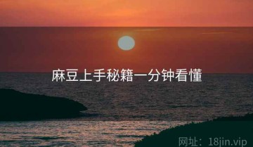 麻豆上手秘籍一分钟看懂