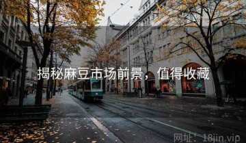 揭秘麻豆市场前景，值得收藏