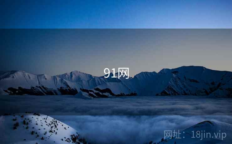 91网 91网
