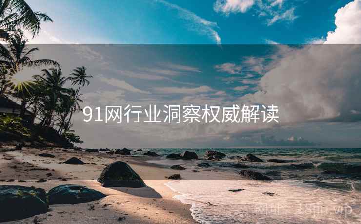 91网行业洞察权威解读 91网行业洞察权威解读