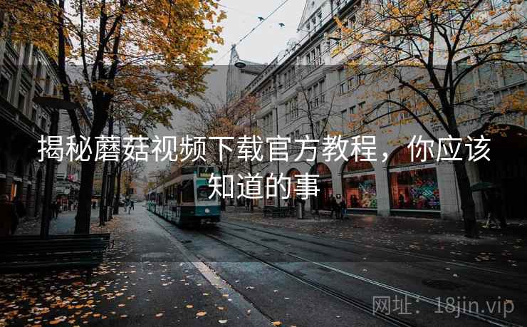揭秘蘑菇视频下载官方教程，你应该知道的事
