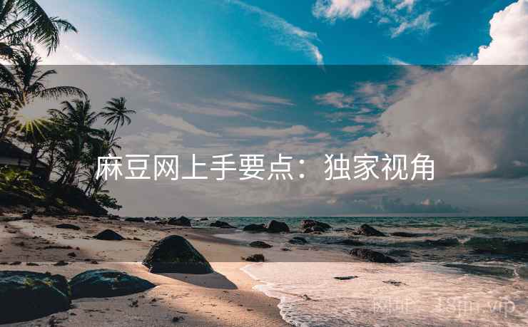 麻豆网上手要点：独家视角