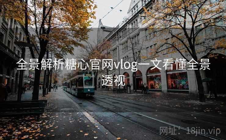 全景解析糖心官网vlog一文看懂全景透视