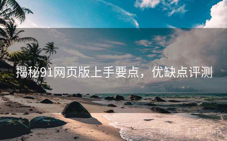 揭秘91网页版上手要点，优缺点评测