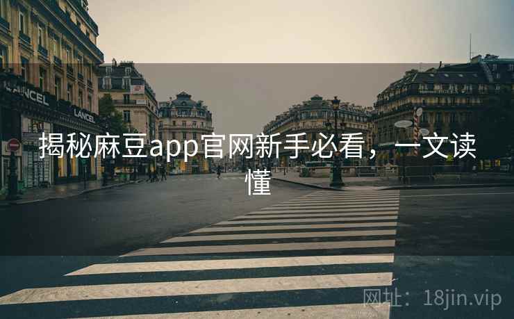 揭秘麻豆app官网新手必看，一文读懂